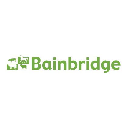 Bainbridge