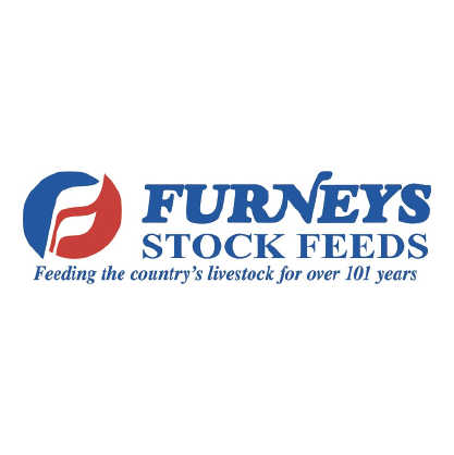 Furneys